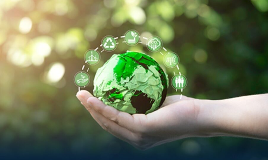 Direito Tributário e sustentabilidade: Incentivos fiscais para empresas que investem em práticas sustentáveis